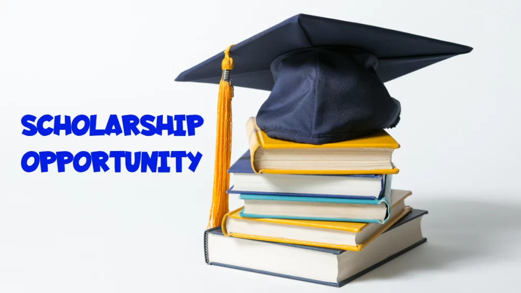 scholarship opportunities for undergraduates