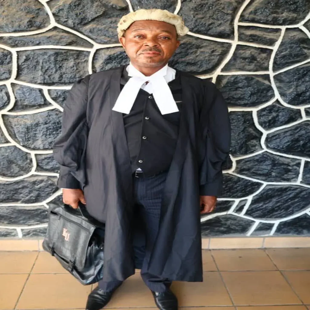 Fake Lawyer