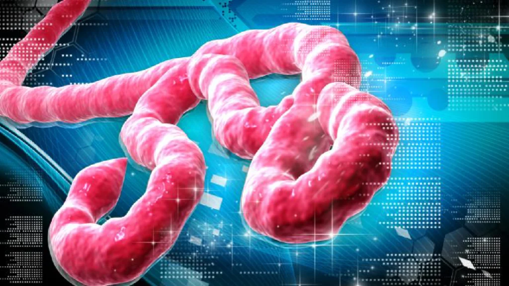 Ebola Disease